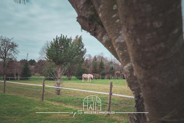 Maison 6 pièces - 146 m² Exclusivité efficity