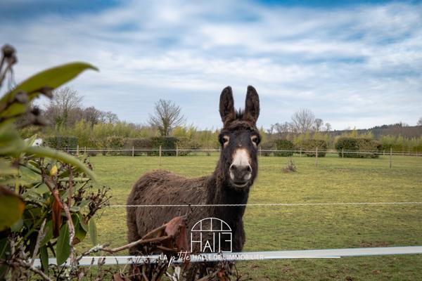 Maison 6 pièces - 146 m² Exclusivité efficity