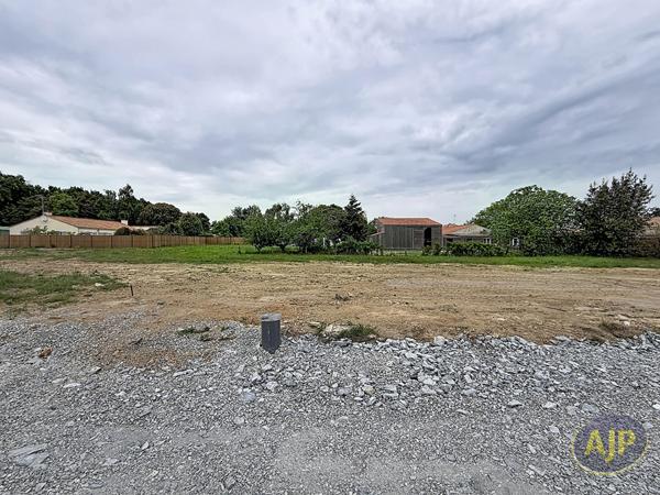 Vente terrain Talmont Saint Hilaire : 101 000 € - AJP Immobilier Les Sables-d'Olonne