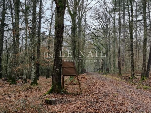 A vendre, Important domaine au cœur de la Sologne, 85 ha, à 2h00 de Paris