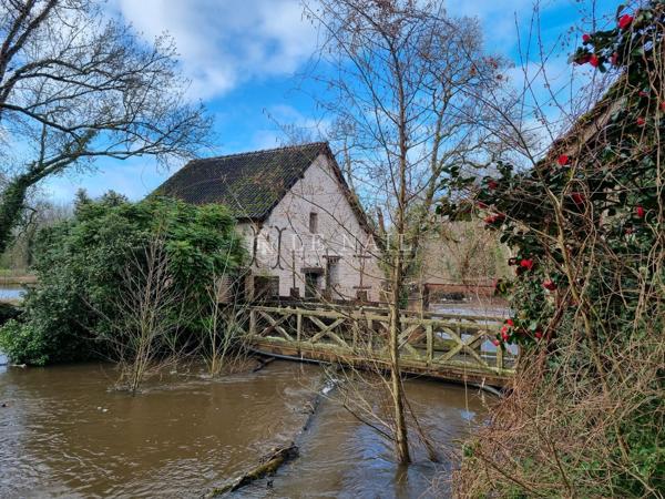 A vendre, Important domaine au cœur de la Sologne, 85 ha, à 2h00 de Paris