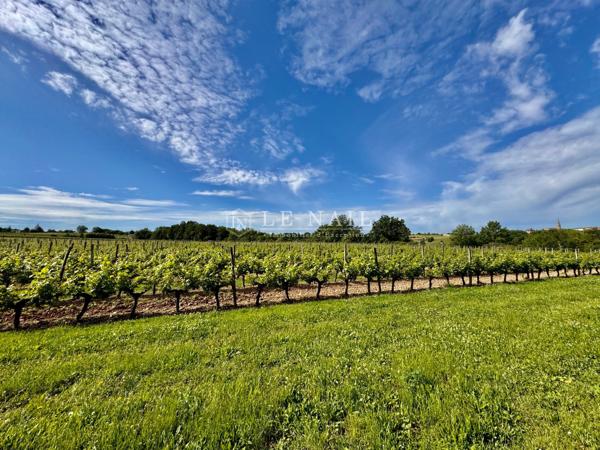 Belle propriété avec vue sur la vallée de Bergerac