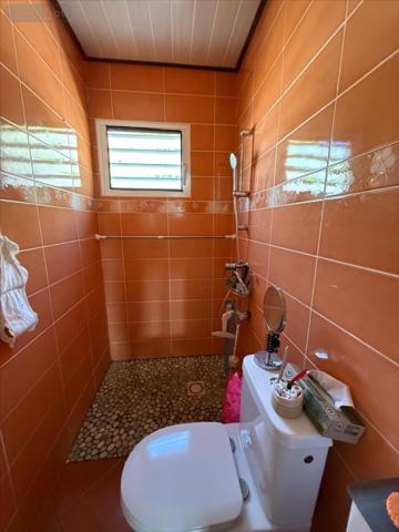 Maison à vendre à Petite-Île à la Réunion (97429), ref : 97410-1091967
