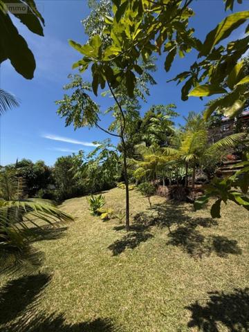Maison à vendre à Petite-Île à la Réunion (97429), ref : 97410-1091967