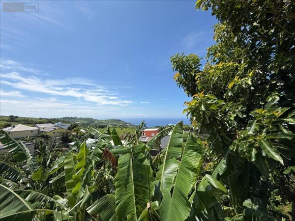 Maison à vendre à Petite-Île à la Réunion (97429), ref : 97410-1091967