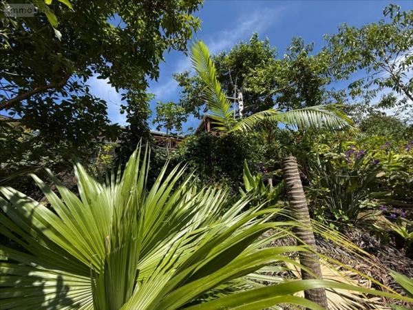 Maison à vendre à Petite-Île à la Réunion (97429), ref : 97410-1091967