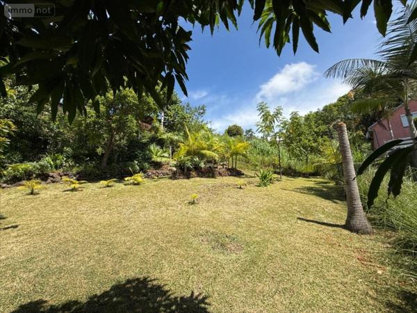 Maison à vendre à Petite-Île à la Réunion (97429), ref : 97410-1091967