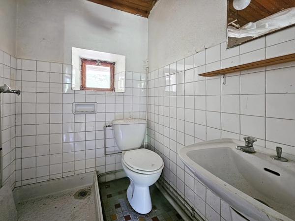 Ensemble Immobilier en Montagne, maison avec Gîte, Idéal Pied-à-Terre campan (65)