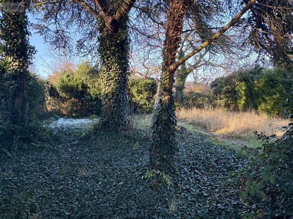 Maison à vendre à Fouquières-lès-Lens dans le Pas-de-Calais (62740), ref : 62041-1721