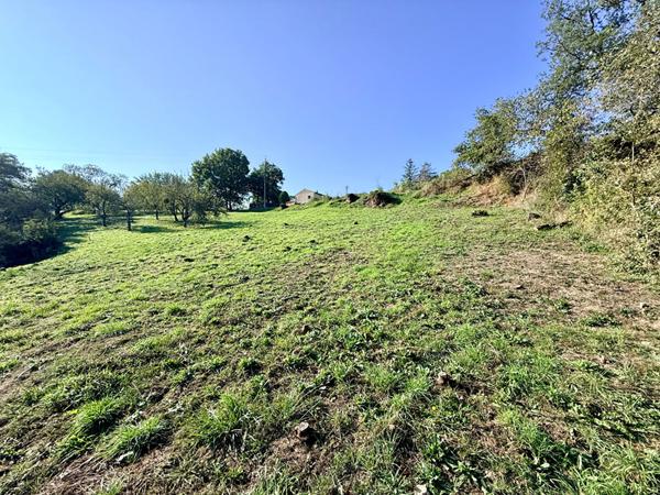 CANTE : TERRAIN 1228M2 CONSTRUCTIBLE