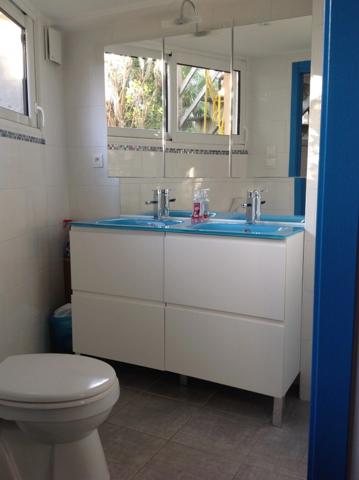 maison à vendre 10 pièces  (85)
