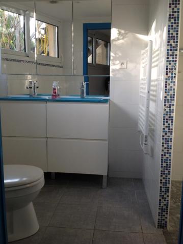 maison à vendre 10 pièces  (85)