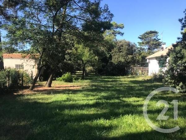 Terrain à vendre  995 m2 ST GEORGES D OLERON - 17
