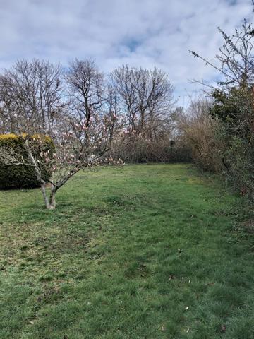 Ideal pour investisseur