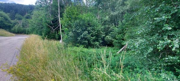 À vendre Terrain - Gérardmer 88400