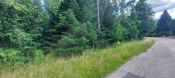 À vendre Terrain - Gérardmer 88400