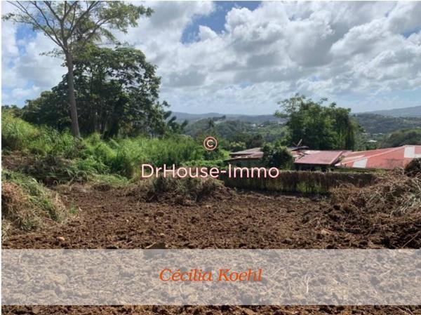 Terrain à vendre de 2 667 m²