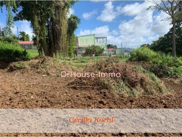 Terrain à vendre de 2 667 m²