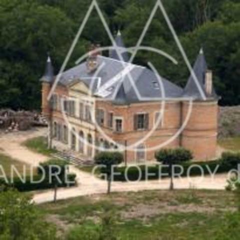 Au cœur de la Sologne, Un château d'inspiration néogothique et Renaissance, de 3000 m2 sur un 53ha
