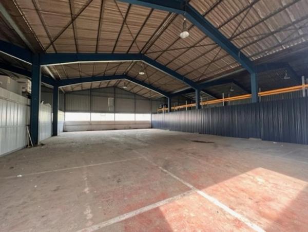 Local 1000 m2 divisible