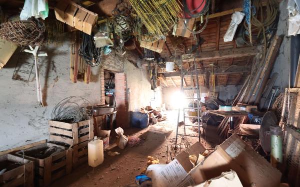 Maison à vendre    4 pièces •  Neyron