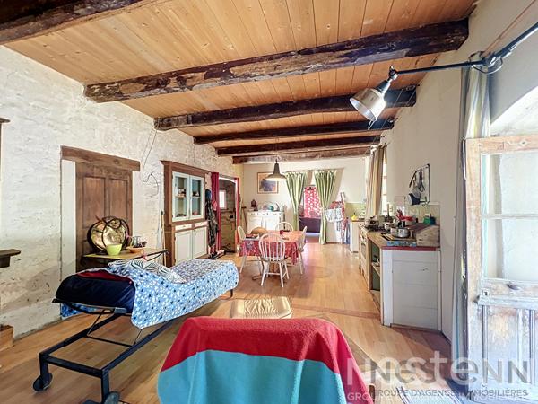 Ancienne ferme et magnanerie cévenole avec gîtes, 6 hectares de terrain et vue sur la vallée - Saint Germain de Calberte