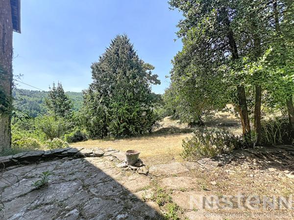 Ancienne ferme et magnanerie cévenole avec gîtes, 6 hectares de terrain et vue sur la vallée - Saint Germain de Calberte