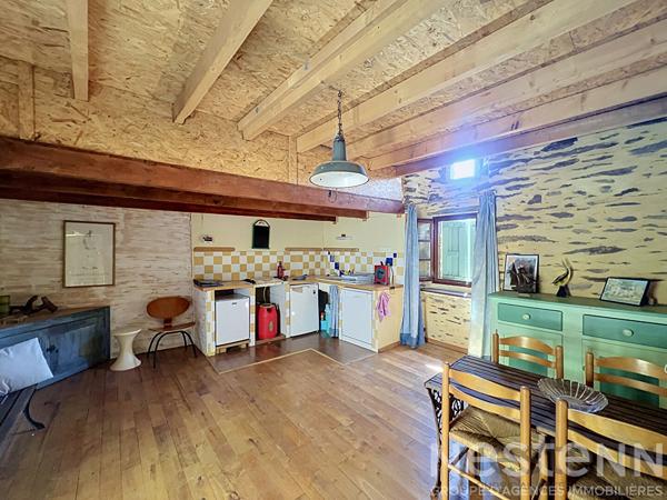 Ancienne ferme et magnanerie cévenole avec gîtes, 6 hectares de terrain et vue sur la vallée - Saint Germain de Calberte