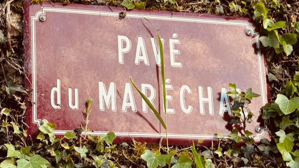 Bazoches (58190) Propriété de charme - Ancien presbytère avec vue exceptionnelle sur le château de Bazoches au prix de 318 000