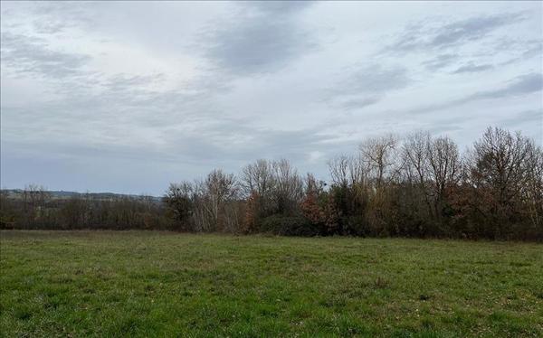 Terrain à vendre |  Briatexte |  10404 m²
