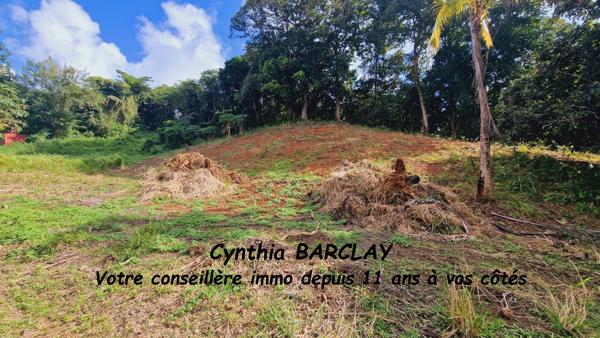 Terrain à LE FRANCOIS (97240)