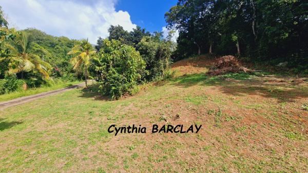 Terrain à LE FRANCOIS (97240)