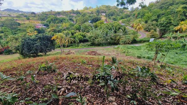 Terrain à LE FRANCOIS (97240)