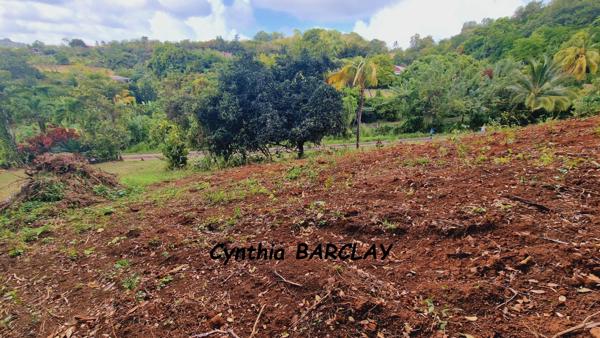 Terrain à LE FRANCOIS (97240)