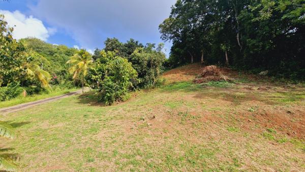 Terrain à LE FRANCOIS (97240)