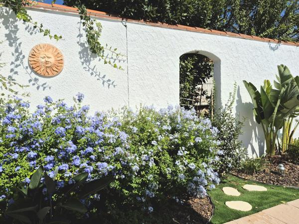 Maison familiale avec piscine et dépendance