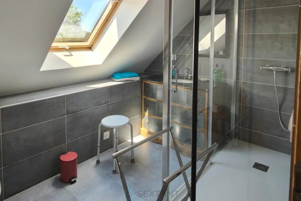 Grande propriété rénovée avec gîtes et 5 hectares de terrain aux portes de Tours