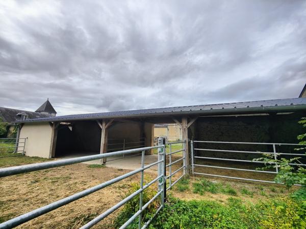 Grande propriété rénovée avec gîtes et 5 hectares de terrain aux portes de Tours