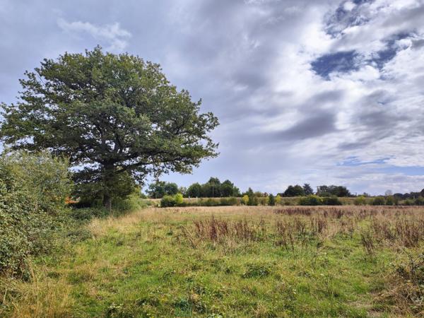 Grande propriété rénovée avec gîtes et 5 hectares de terrain aux portes de Tours