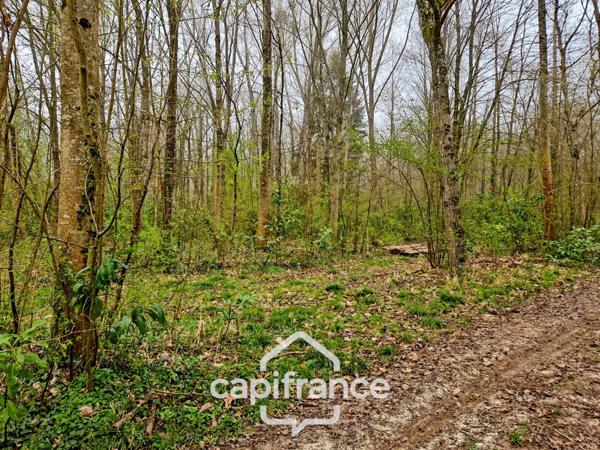 Là où l’eau, la pierre et la forêt se rejoignent, un domaine d’exception s’offre à vous : 9 hectares de nature préservée et de mémoire vivante, à transmettre et à faire revivre.