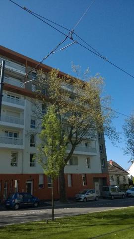 Appartement à louer 2 pièces 39.03m²