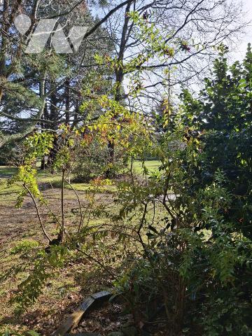 APPARTEMENT LARMOR PLAGE 