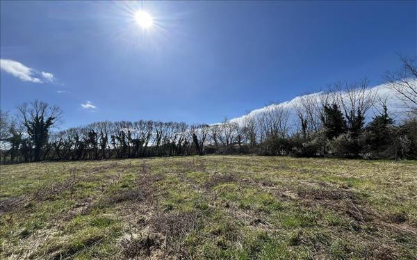 Terrain à vendre |  Muret |  3625 m²