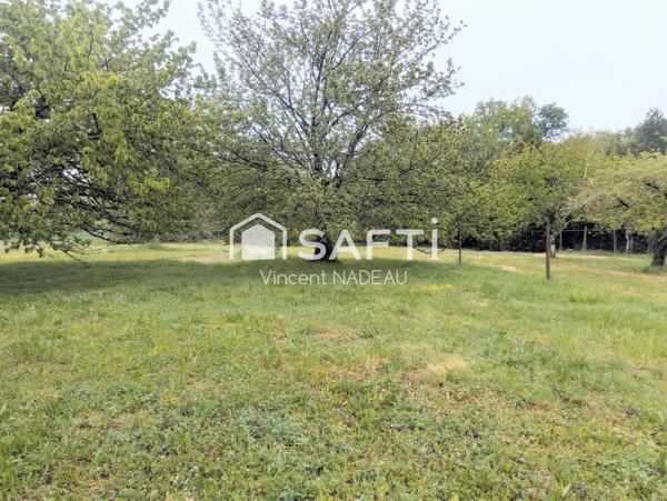 Maison - 7 pièces - 242 m²