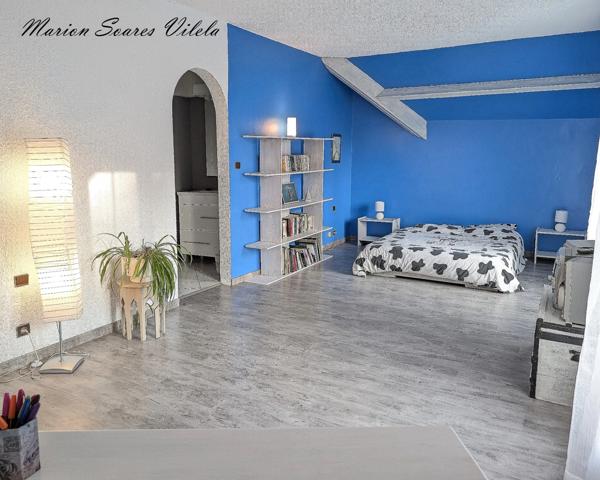 BELLE DEMEURE sur plus de 3 500 m² de terrain– Chaumes-en-Brie (77390)