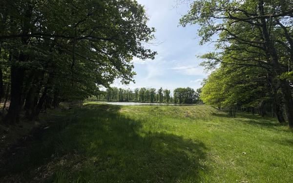 Terrain à vendre
