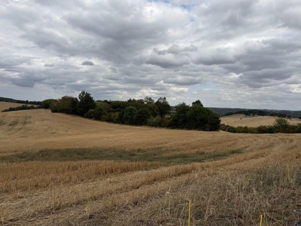 Vente / Terrain constructible à Labéjan (32300)