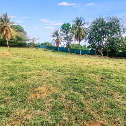 Terrain constructible à vendre DAMPIERRE LE GOSIER (971)