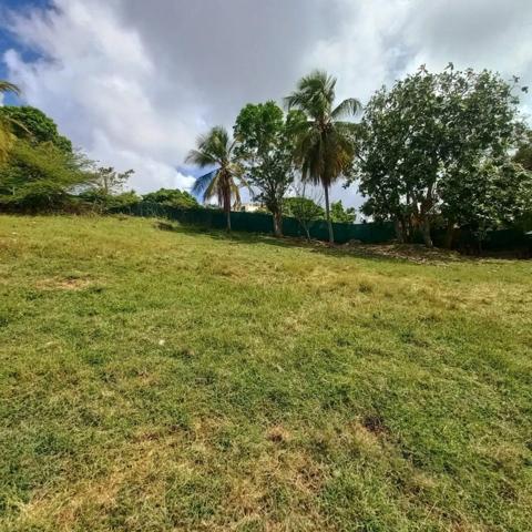 Terrain constructible à vendre DAMPIERRE LE GOSIER (971)