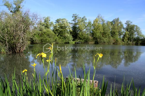 Terrain de loisirs de 8 100 m²